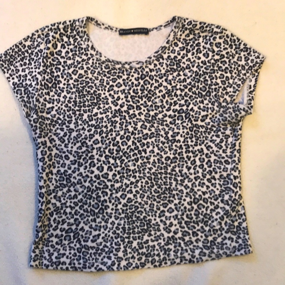 Brandy Melville Leopard Print Ashlyn Top